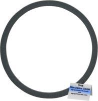 300A159295 - Dichtring [seal ring ]